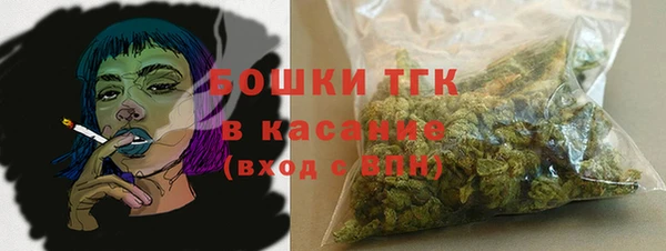 PSILOCYBIN Аркадак
