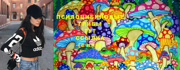 соль ск Арсеньев