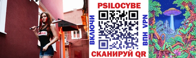 Псилоцибиновые грибы мицелий  как найти закладки  Александровск 